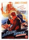 Affiche La Flèche brisée