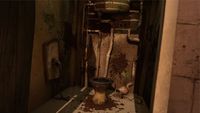 Fear of Unfamiliar Toilets (Novuslatrinaphobia)