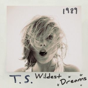 Wildest Dreams (music video)
