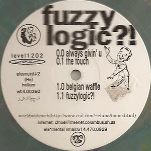 Fuzzy Logic?! (EP)