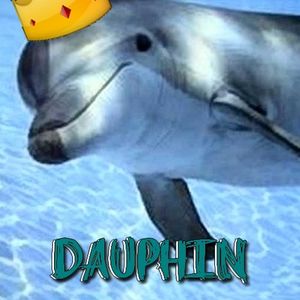 DAUPHIN (Single)