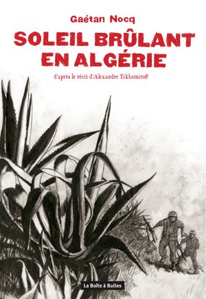 Soleil brûlant en Algérie