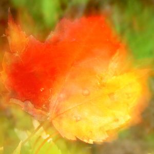 Nothing Left (Single)