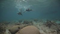 St. Croix: Into the Abyss