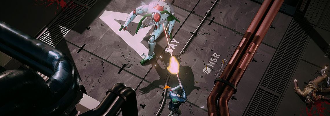 Cover Ruiner
