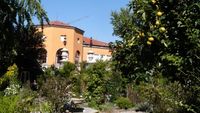 Jardin botanique de Padoue (Italie)