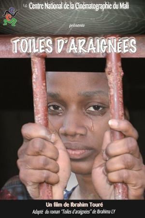 Toiles d'araignées