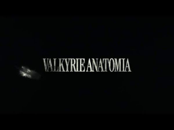 Valkyrie Anatomia: The Origin