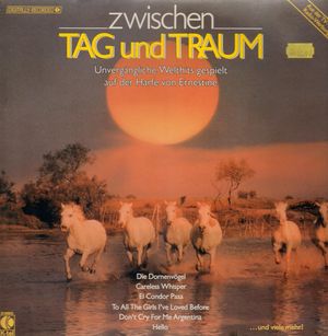 Zwischen Tag und Traum