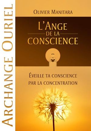 L'ange de la conscience