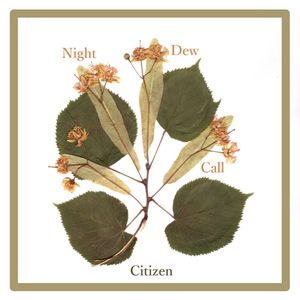 Citizen (Single)