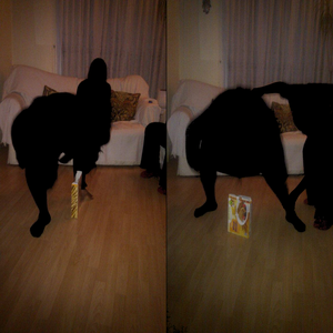 Requiem Or Recovery/Oh No (Single)