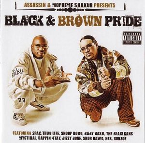 Black And Brown Pride