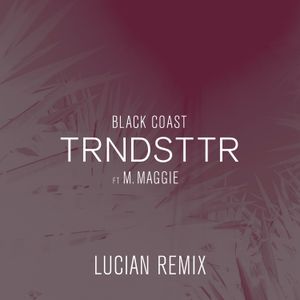 Trndsttr (Lucian remix)