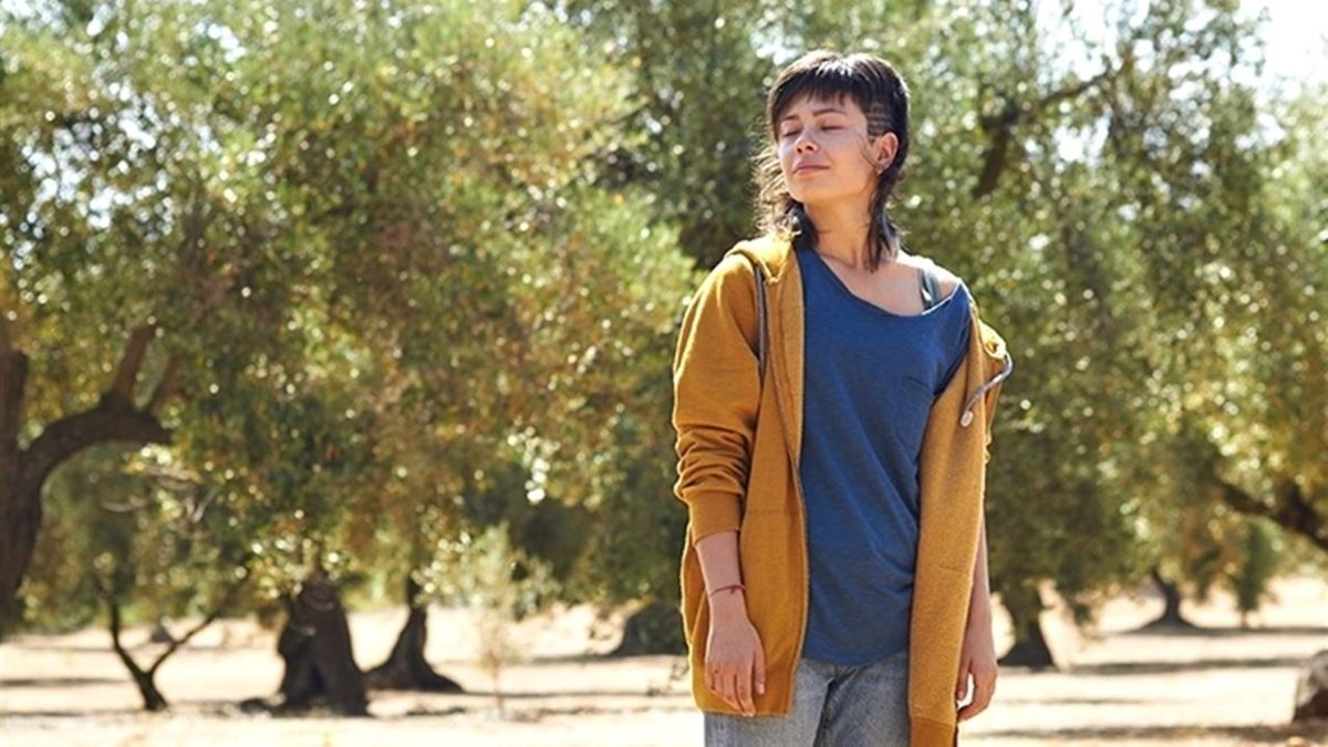 L'Olivier Film (2016) SensCritique