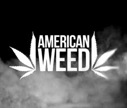 image-https://media.senscritique.com/media/000015382143/0/american_weed.jpg