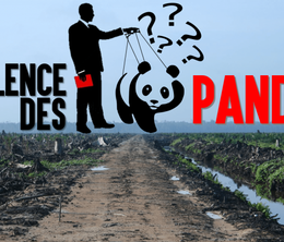 image-https://media.senscritique.com/media/000015382808/0/le_silence_des_pandas_ce_que_la_wwf_ne_dit_pas.png