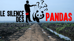 Le silence des pandas (ce que la WWF ne dit pas)