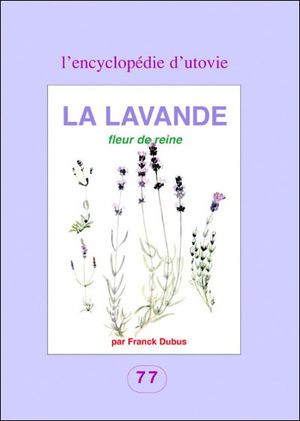 La lavande, fleur de reine