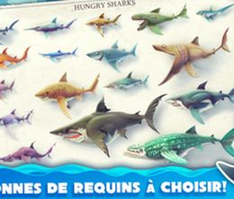 image-https://media.senscritique.com/media/000015385312/0/hungry_shark_world.jpg