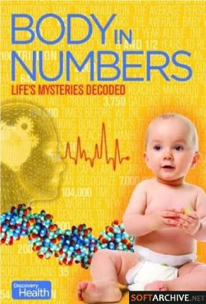 Body In Numbers