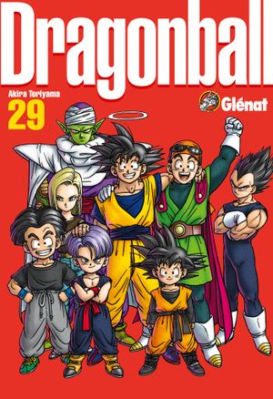 Dragon Ball (Perfect Edition), tome 29