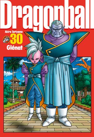 Dragon Ball (Perfect Edition), tome 30