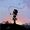 Avatar Euphrosyne