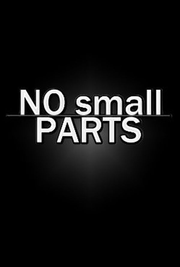 No Small Parts