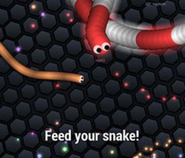 image-https://media.senscritique.com/media/000015455484/0/Slither_io_Edition.jpg