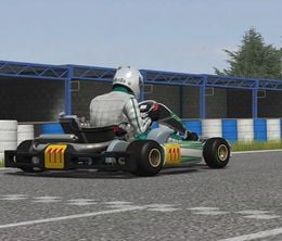 image-https://media.senscritique.com/media/000015468513/0/Kart_Racing_Pro.jpg