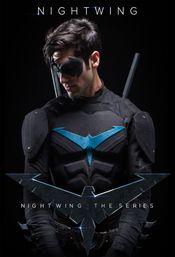 Affiche Nightwing: The Series