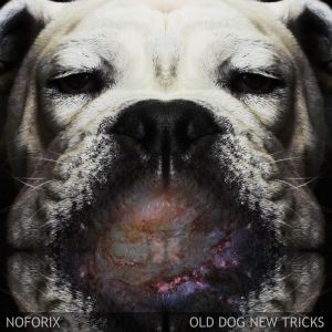 Old Dog New Tricks (EP)