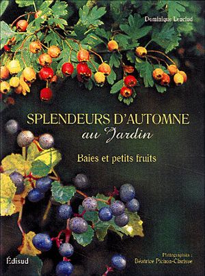 Splendeur d'automne au jardin