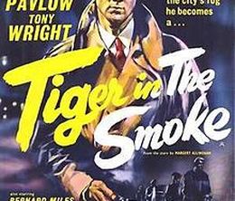image-https://media.senscritique.com/media/000015537687/0/tiger_in_the_smoke.jpg