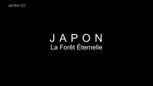Japon - La forêt éternelle