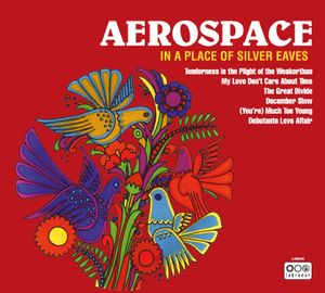 In a Place of Silver Eaves (EP)