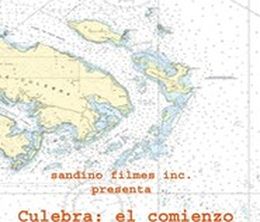 image-https://media.senscritique.com/media/000015554777/0/culebra_the_beginning.jpg