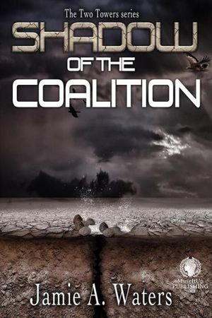 Shadow of the Coalition