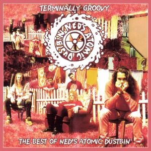 Terminally Groovy: The Best of Ned's Atomic Dustbin