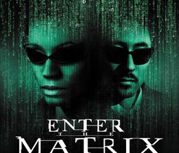 image-https://media.senscritique.com/media/000015681505/0/enter_the_matrix.jpg