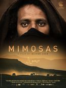 Affiche Mimosas, la voie de l'Atlas