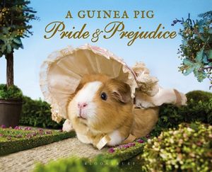 A Guinea Pig