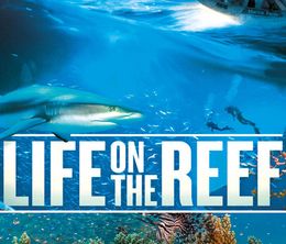 image-https://media.senscritique.com/media/000015730889/0/life_on_the_reef.jpg