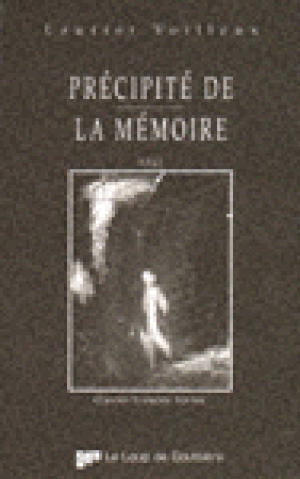 Précipité de la mémoire