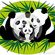 Avatar Panda Family Avatar Panda Family