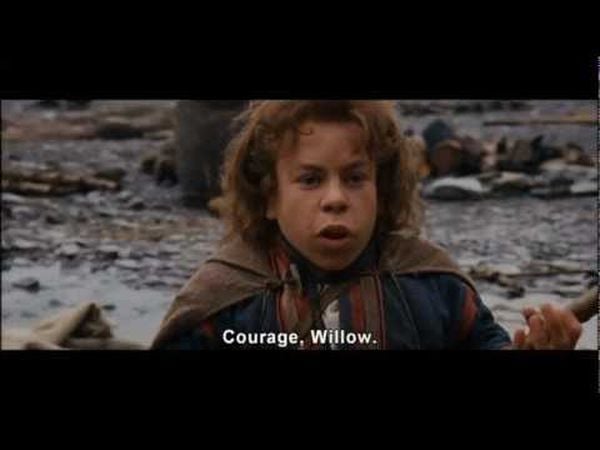 Willow