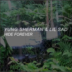 HIDE FOREVER (Single)