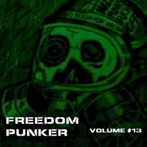 Freedom Punker, Volume 13