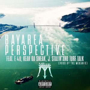 Bay Area Perspective (Single)